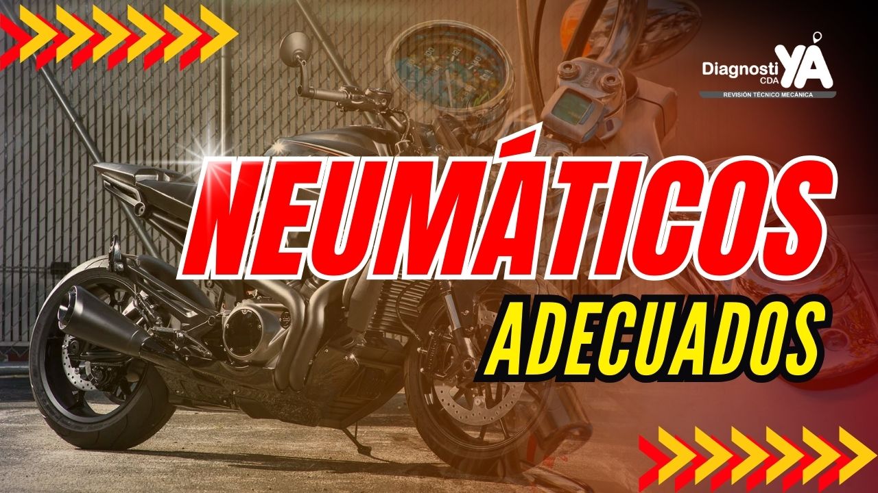 NEUMATICOS ADECUADOS