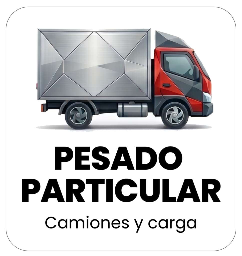 Tecnomecanica bogota pesado particular