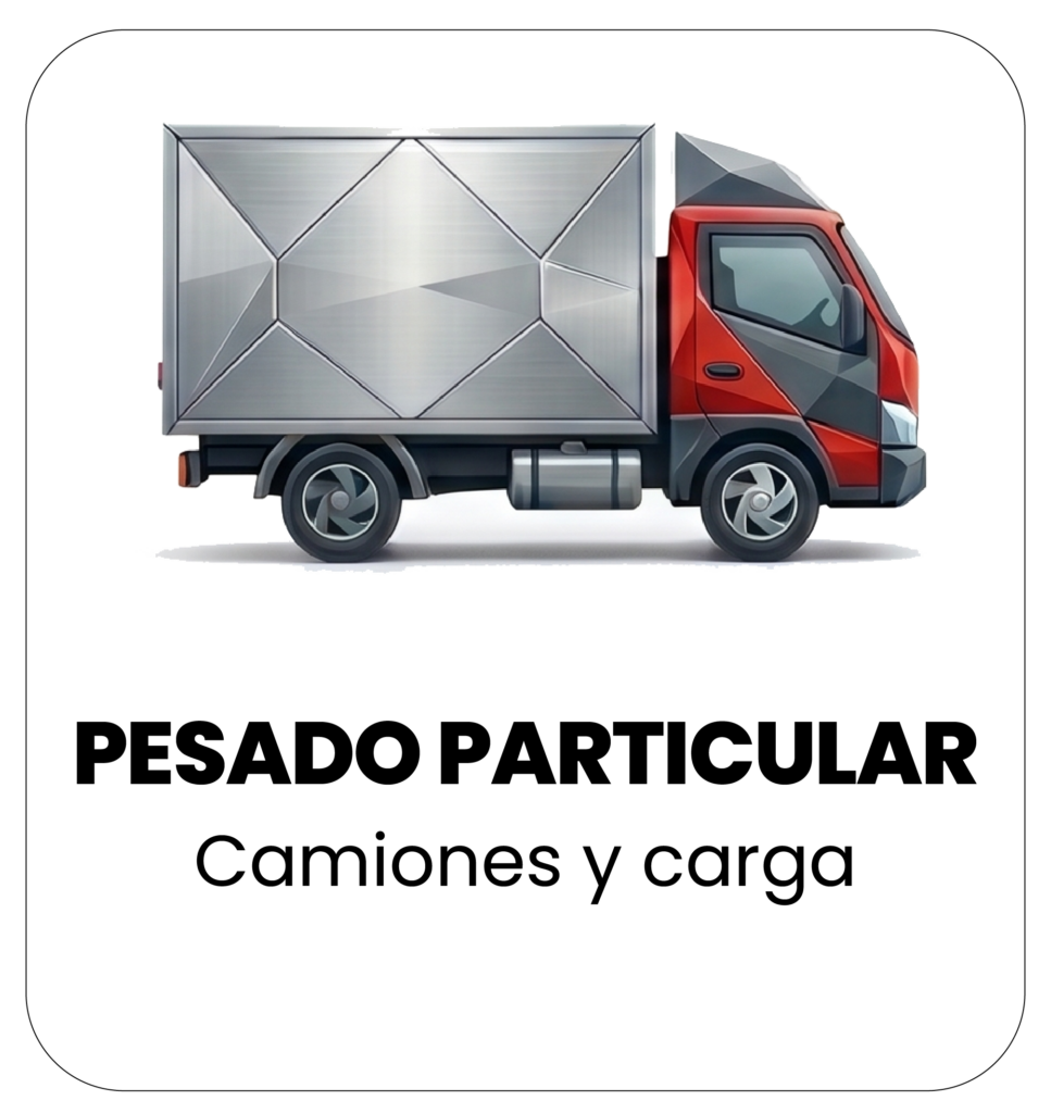 Tecnomecanica pesado particular