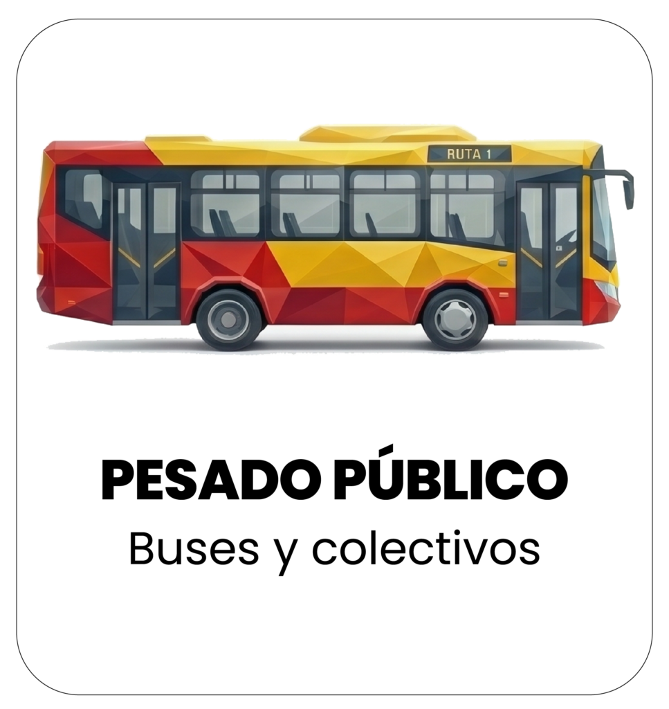 Tecnomecanica pesado publico